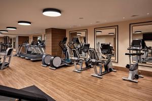 Fitness centrum a/nebo fitness zařízení v ubytování Hilton Vienna Park