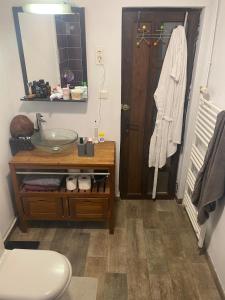 a bathroom with a sink and a toilet and a mirror at Villa Sorgues in Sorgues +12 photos