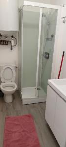 Bilik mandi di Appartement cozy 30m2, au cœur de Fougères
