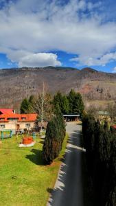 eine Straße mit Bäumen am Straßenrand in der Unterkunft Pensiunea Florina in Poiana Mărului