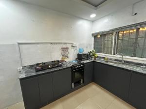 una cocina con estufa y fregadero en Master Prime Apartment, en Lagos