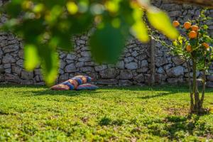 wąż leżący na trawie obok kamiennej ściany w obiekcie L'antica Pigna Chateau w mieście Vico Equense