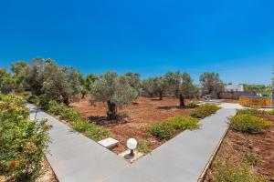 Fotografie z fotogalerie ubytování Zeituna Lodge v destinaci Torre Lapillo + 12 fotografií