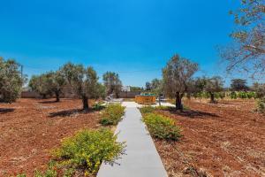 Fotografie z fotogalerie ubytování Zeituna Lodge v destinaci Torre Lapillo