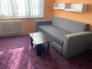 Posezení v ubytování Garsoniera U lesoparku