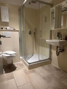 een badkamer met een douche, een toilet en een wastafel bij Premium Apartment 2 Cathedral in Keulen +13 foto's