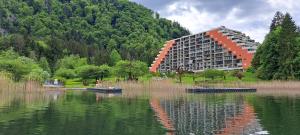 Príroda v okolí apartmánu