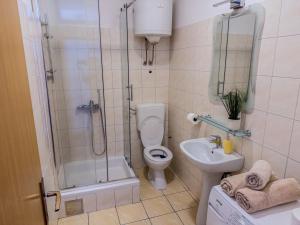 een badkamer met een douche, een toilet en een wastafel bij Apartments Marin Tomas in Dubrovnik