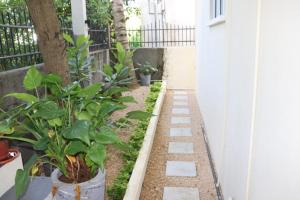 Jardin de l'établissement Garden Suite