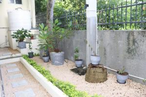 Jardin de l'établissement Garden Suite