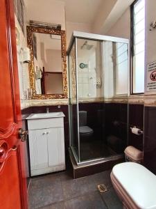 a bathroom with a shower and a toilet and a mirror at Hostal Terrabella SRL in La Paz
