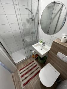 a bathroom with a shower and a toilet and a sink at Latarnik in Karwia +20 photos
