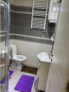 Ένα μπάνιο στο Skadarlija Square