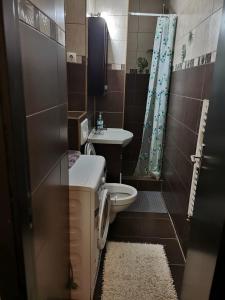 a small bathroom with a toilet and a sink at Tranzit Apartman 2 in Odorheiu Secuiesc