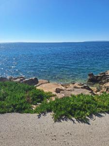 a view of the ocean with rocks and grass at Bravarica blue in Potocnica +2 photos