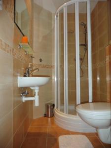een badkamer met een douche, een wastafel en een toilet bij U Votápků in Nové Hutě