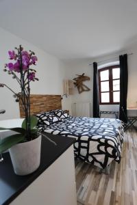 a room with two beds and a table with a potted plant at Gîte climatisé "Baugallo Pastourelle" in Saint-Montan