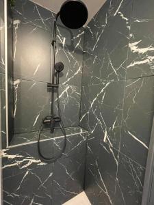 a shower in a bathroom with marble walls at Cinema et Billiard in Charnay-lès-Mâcon +5 photos