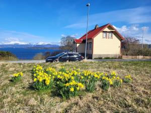 a house with a car parked in a field of daffodils at Nygjerdet Gossen in Gossa