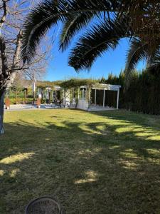 a house with a palm tree in a yard at Hotel Tierra de Garnacha in Borja