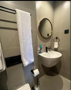 内罗毕Rustic Like Studio Next To Pride Inn & Ibis Hotels Westlands的带白色水槽和镜子的浴室