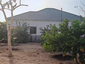 Zahrada ubytování RASTA'S Village Garden