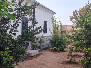 Zahrada ubytování RASTA'S Village Garden