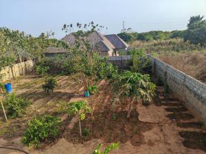 Zahrada ubytování RASTA'S Village Garden
