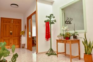 Afbeelding uit fotogalerij van Casa abuela Ana in Padul +21 foto's