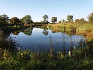 a view of a river with trees in the background at Fushia Chalet a lovely little rural retreat in Saxtead +10 photos