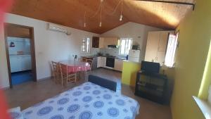 Kuchyň nebo kuchyňský kout v ubytování Apartments Renata - Brseč