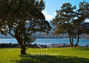 un parco con alberi e una cassa d'acqua di Suite Fronte Mare - Brezza Dorata a Porto Rotondo