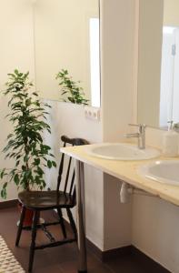 La salle de bains est pourvue d'un lavabo et d'une chaise à côté d'une plante. dans l'établissement Tree House, à Riga