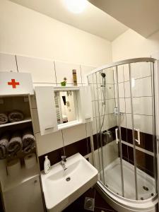 Koupelna v ubytování Mini Studio
