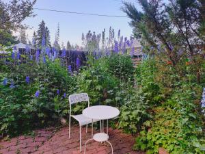Zahrada ubytování U of A Homestay, Trails & Whyte Ave