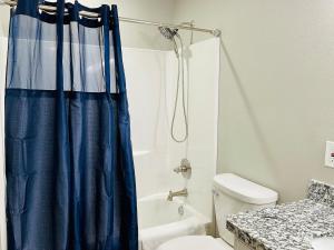 łazienka z niebieską zasłoną prysznicową i toaletą w obiekcie Hues of Blue 2BR 2BA Home on Quiet Street w mieście Nederland +16 zdjęć
