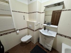 ein Badezimmer mit Toilette, Waschbecken und Spiegel in der Unterkunft Apartmán Železná Ruda in Železná Ruda