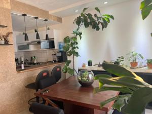 a dining room with a table and some plants at Casa Monstera Bahia in Naranjo