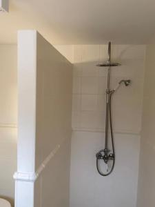 a shower in a white bathroom with a shower head at NEW Lake bungalow with fireplace and hot tub in Krefeld +26 photos