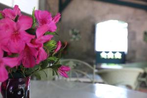 Φωτογραφία από το άλμπουμ του La Petite Distillerie, sur un domaine historique σε Saint-Pierre