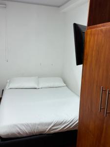 Postel nebo postele na pokoji v ubytování En la Zona Rosa, a una cuadra del Parque + 16 fotografií
