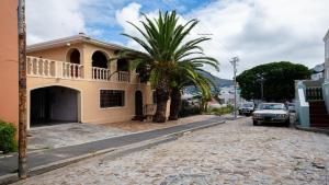 a palm tree and a house on a street at The Famous Bokaap Villa in Cape Town