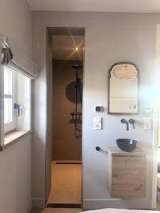 ドンブルグにあるVrijvakantiehuis Brouwerijweg 45aの洗面台と鏡のあるバスルーム +29枚の写真