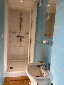 a bathroom with a sink and a shower at Chez Jay à Bassoues in Bassoues