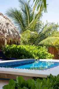 een zwembad voor een resort met palmbomen bij Atenea Holbox in Holbox Island