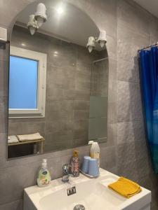 a bathroom with a sink and a mirror at Appartement cosy au coeur de la ville d'Auch in Auch