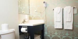 un bagno con lavandino e specchio di University Inn a Logan