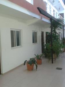 a white building with two potted plants in front of it at Hotel Costanera in Formosa