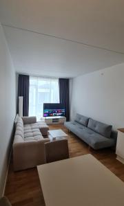 a living room with a couch and a tv at Two storey apart Most beautiful location in Copenhagen in Copenhagen