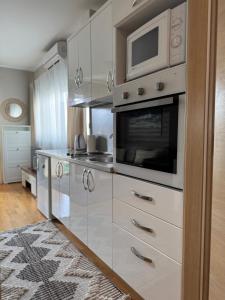 Kuchyň nebo kuchyňský kout v ubytování Apartment Tri sunca